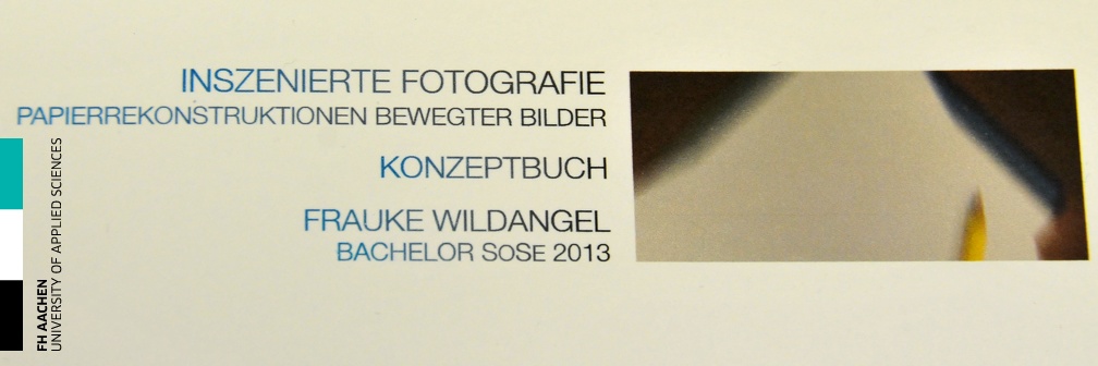 20130711 Diploma SoSe13 Wildangel85