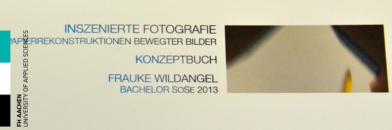 20130711 Diploma SoSe13 Wildangel85